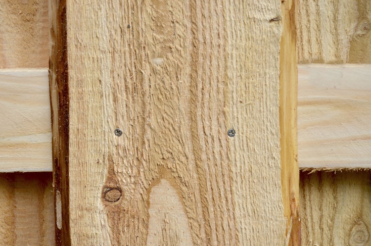 T&J JÜTLAND Sichtschutzzaun Lärche 90 x 180 cm