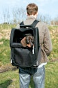 Vorschaubild TRIXIE Trolley 36 x 27 x 50 cm schwarz/grau für Hunde und Katzen