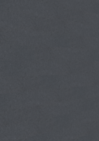 MEISTER Systempaneele MeisterPaneele. craft SP 700 1275 x 210 x 10,5 mm 04504 Filz schiefergrau