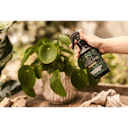 Vorschaubild Restberry´s Nesselsud