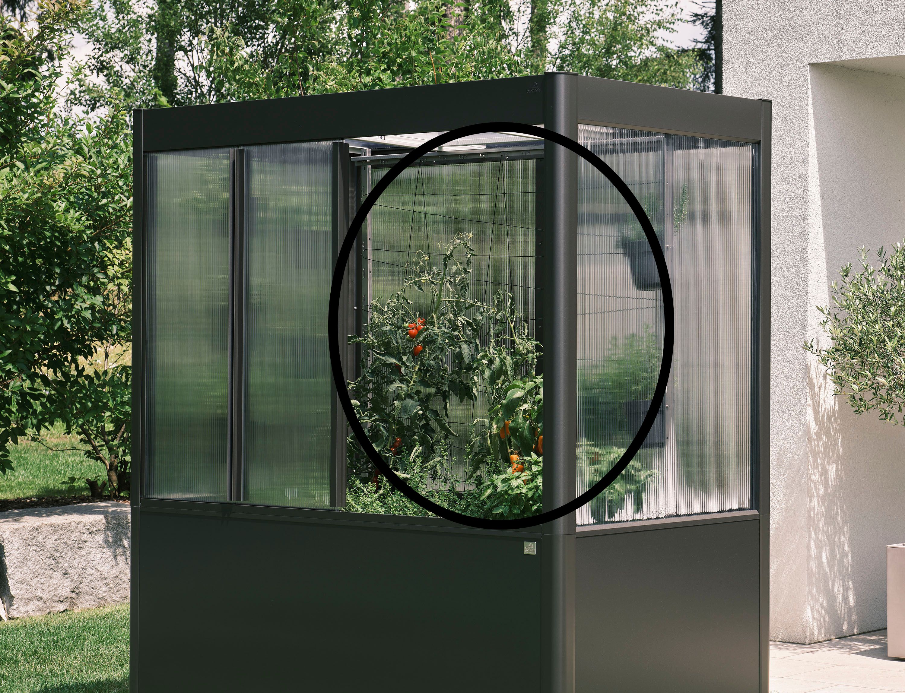 Biohort Rankhilfe für Gewächshaus Florentina