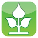 Vorschaubild Noor Jute Zuschnitt Rolle in verschiedenen Ausführungen