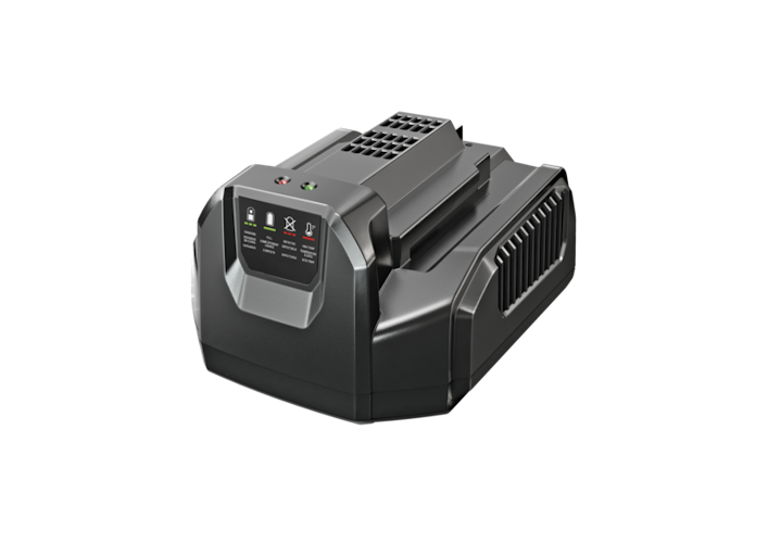 EGO Power Ladegerät