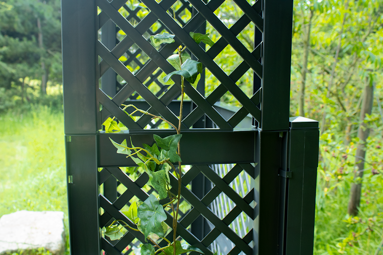 KHW Gartenbank Amsterdam mit Rosenbogen und Spalier