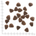 Vorschaubild WOLFSBLUT Wide Plain Pferdefleisch mit Süßkartoffeln Hundetrockenfutter