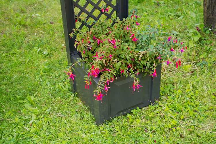 KHW Pflanzkasten klein mit Spalier 43 cm