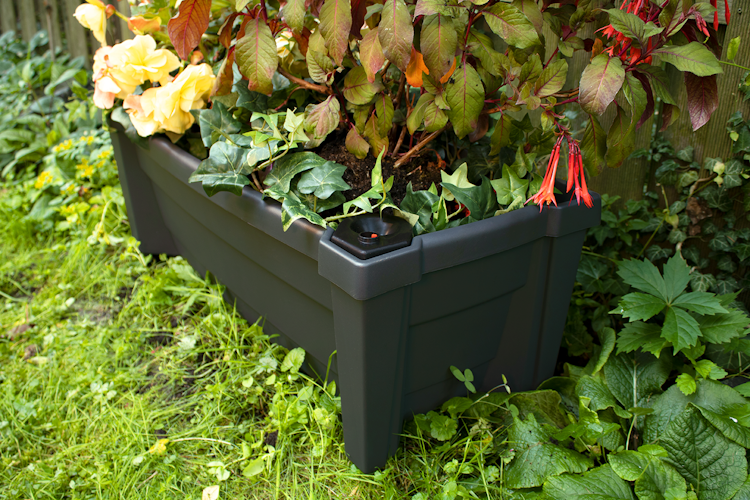 KHW Calypso Pflanzkasten auf Rollen mit Bewässerungssystem