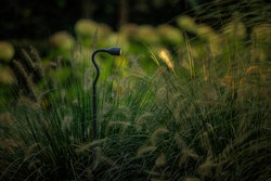 Lightpro Gartenstrahler Xible Hi 12V Strahler 