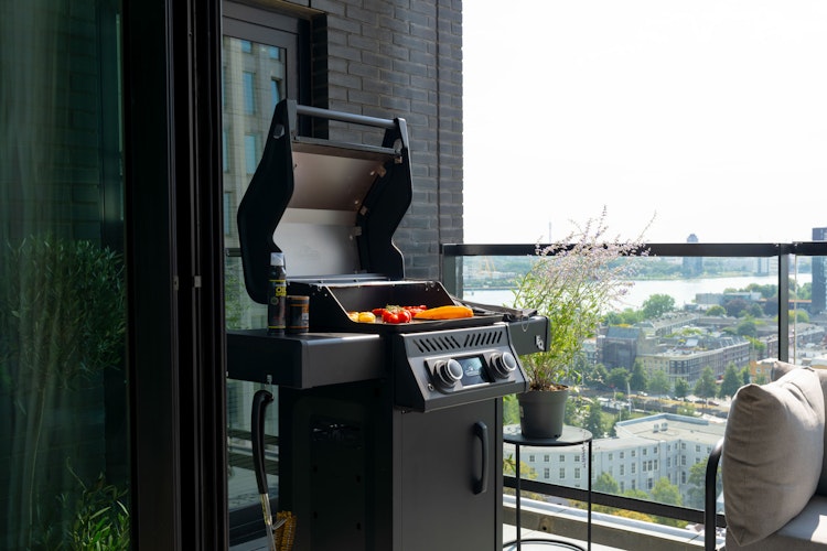 NAPOLEON Elektrogrill Rogue EQ 365, Mattschwarz 