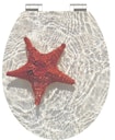 Vorschaubild MDF HG WC-Sitz RED STARFISH