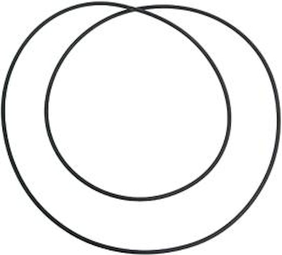 Elite Antriebsriemen