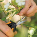 Vorschaubild Fiskars Solid Micro-Tip Gartenschere SP130 1051600