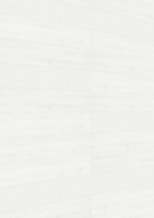 MEISTER Dekorpaneele MeisterPaneele. tertio DP 200 04099 Pinie arcticweiß alle Längen