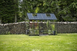 Halls Gewächshaus Icon Pflanzenhaus 6/8 - 7,3 m² / 9,7 m²