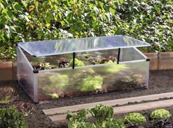 Vitavia Frühbeet Feronia mit Aufstelldach