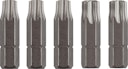 Vorschaubild kwb 5 Bits 25mm Torx 30/40 BasicSB 120234