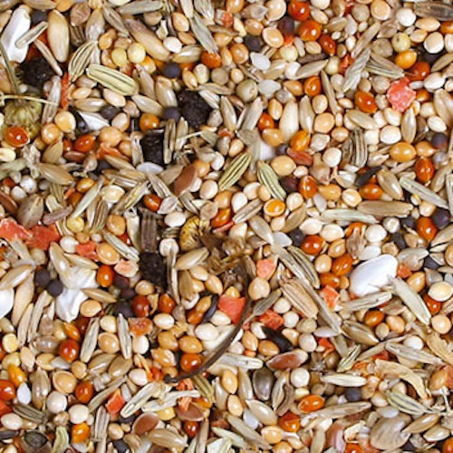 JR FARM Individual Nymphensittich Vogelfutter