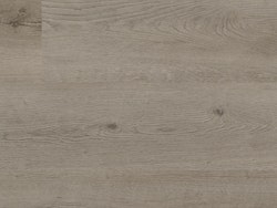 Muster SPC VAR Grand Teton Oak 280x160