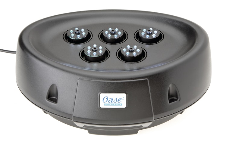 Oase Wasserspiel Water Starlet
