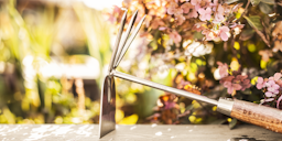 Restberry´s Doppelhacke kleinZubehörbild