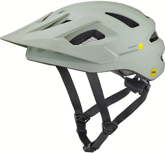 Bollé MTB-Helm Adapt Pure Mips Gr. S grau,grün