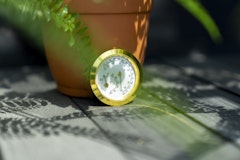 Vitavia HygrometerZubehörbild