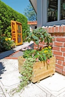 T&J MAX Blumenkübel B 50 x H 50 cm 4-eckig inkl. Folieneinsatz