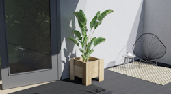 Ante Pflanzkübel B51 x T48 x H45 cm