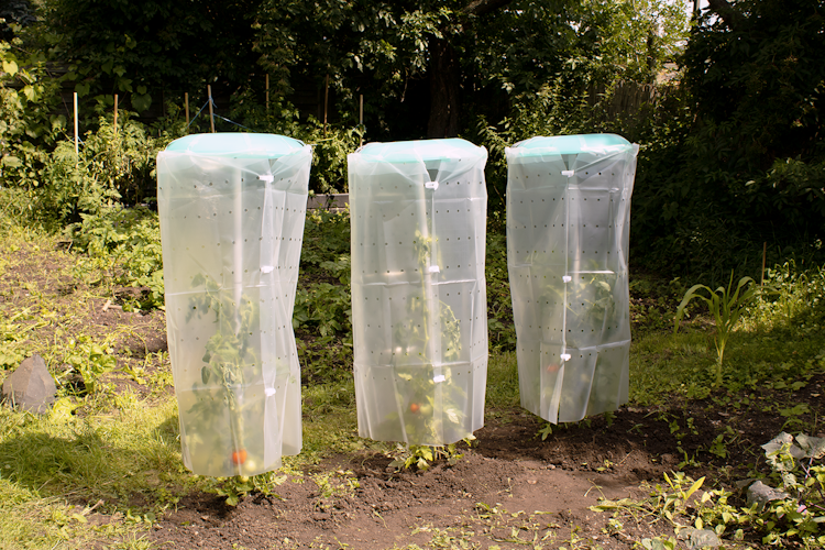 KHW Tomatenhut 3er Set