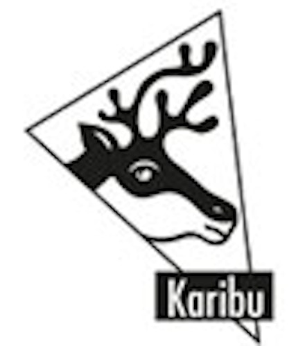 Karibu Farbdose 500 ml terragrau für Ausbesserungsarbeiten
