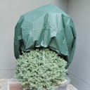 Vorschaubild Noor Wintervlies 34G/M²