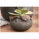 Vorschaubild Vosteen Design Blumentopf / Pflanzgefäß Terrakotta schwarz ø 23 cm x H 16 cm