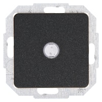 Kopp Kontrollschalter beleuchtet, anthrazit