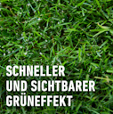 Vorschaubild Compo Rasen-Langzeitdünger 15 kg für 600 qm