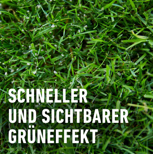 Compo Rasen-Langzeitdünger 15 kg für 600 qm