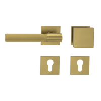 Griffwerk Wechselgarnitur VAYA 136 ARIS fast2fix Fast2Fix Rosetten eckig Knopf SQUARE Gold matt L