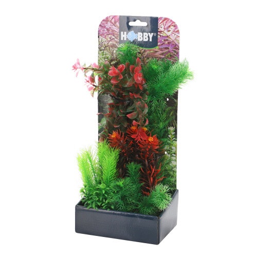 HOBBY Plantasy Set Aquarieneinrichtung