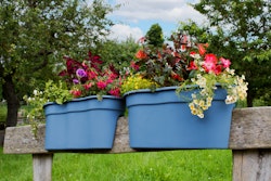 KHW Flowerclip XL, 2er Set