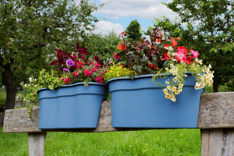 KHW Flowerclip XL, 2er Set