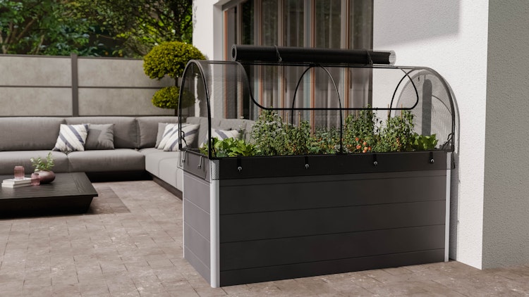 GroJa Frühbeet Aufsatz Netz 149,9 x 69,4 x 62 cm cm Schwarz