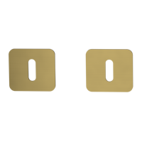 Griffwerk Schlüsselrosettenpaar ONE abgerundet Buntbart Flachrosette Gold matt