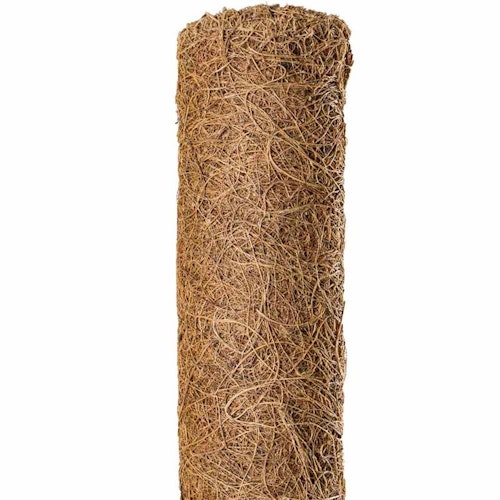 Noor Kokosscheibe PRO - Verschieden Größen