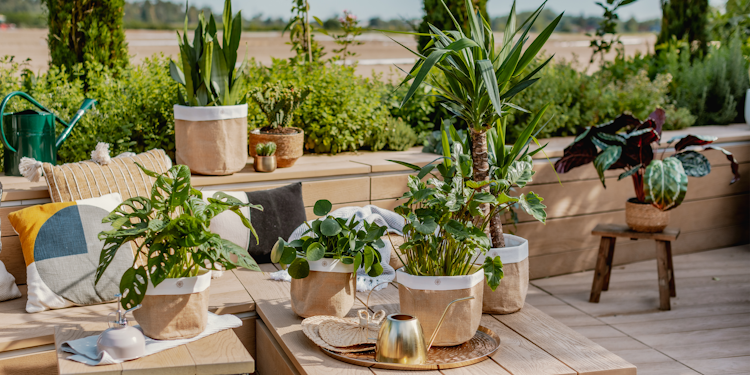 Restberry´s Pflanzkorb