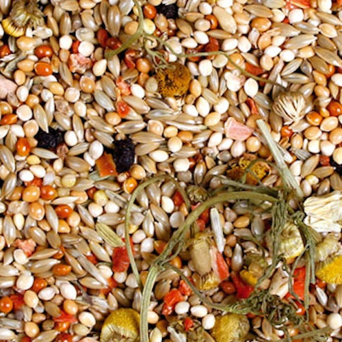 JR FARM Individual Wellensittich Vogelfutter