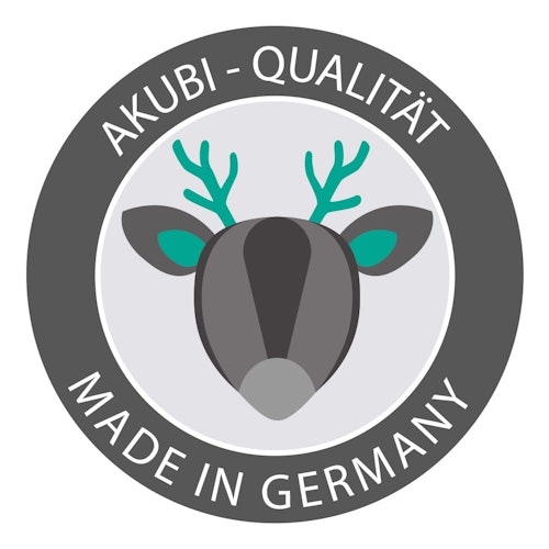 Akubi Kinderspielturm Anna mit Pultdach inkl. Kletterwand, Doppelschaukel und Klettergerüst