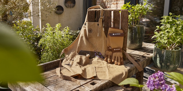 Restberry´s Gärtnerglück strong