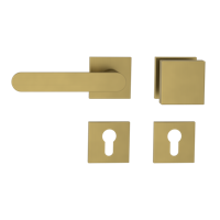 Griffwerk Wechselgarnitur VAYA 291 AVUS fast2fix Fast2Fix  Rosetten eckig Knopf SQUARE Gold matt L