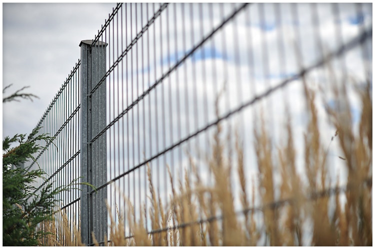 LEGI- Doppelstabmatte R-S -  8/6/8 - 2500 mm