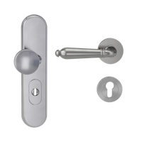 Griffwerk Kombi-Schutzbeschlag TITANO SB_882 mit Griff CAROLA 72mm Zylinderabdeckung Tür 38-50mm L CAROLA Samtgrau