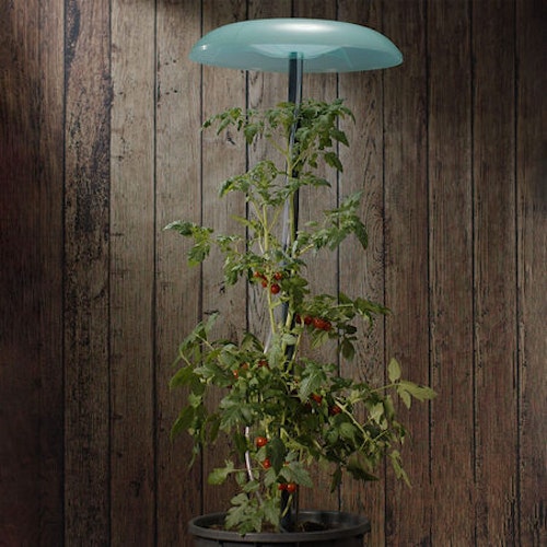 KHW Pflanztopf mit Tomatenhut-Set